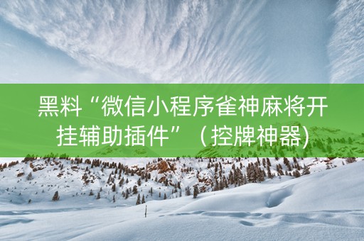 黑料“微信小程序雀神麻将开挂辅助插件”（控牌神器)