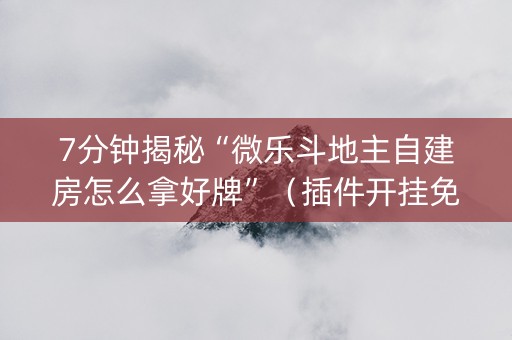 7分钟揭秘“微乐斗地主自建房怎么拿好牌”（插件开挂免费AI)