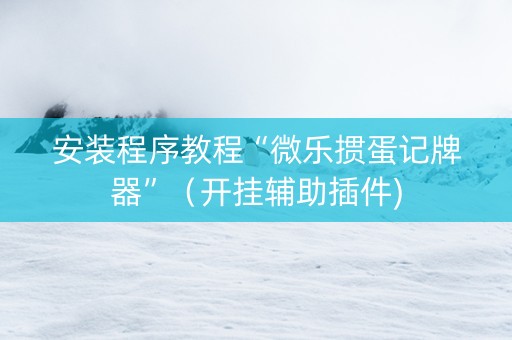 安装程序教程“微乐掼蛋记牌器”（开挂辅助插件)