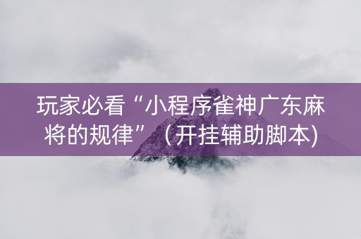 玩家必看“小程序雀神广东麻将的规律”（开挂辅助脚本)