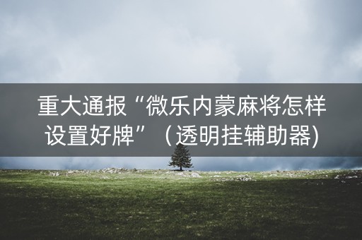 重大通报“微乐内蒙麻将怎样设置好牌”（透明挂辅助器)