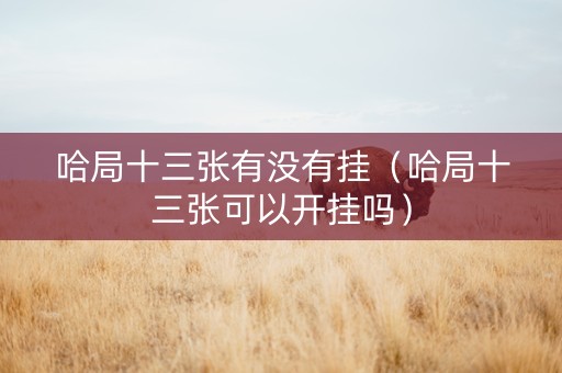 哈局十三张有没有挂（哈局十三张可以开挂吗）