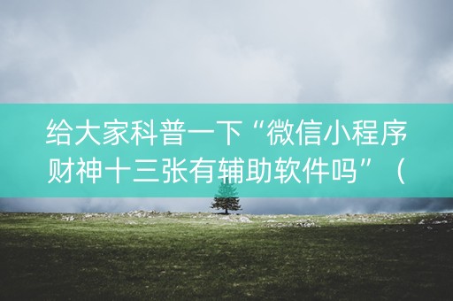 给大家科普一下“微信小程序财神十三张有辅助软件吗”（胜率到哪调)