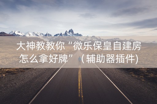大神教教你“微乐保皇自建房怎么拿好牌”（辅助器插件)