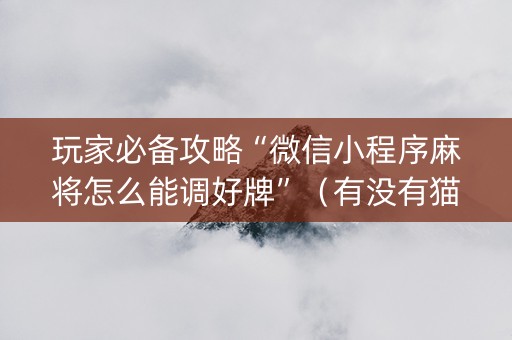 玩家必备攻略“微信小程序麻将怎么能调好牌”（有没有猫腻)