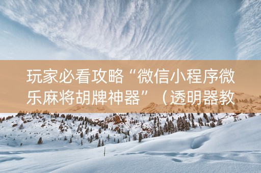 玩家必看攻略“微信小程序微乐麻将胡牌神器”（透明器教程)
