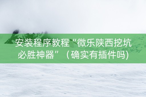 安装程序教程“微乐陕西挖坑必胜神器”（确实有插件吗)