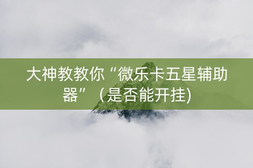 大神教教你“微乐卡五星辅助器”（是否能开挂)