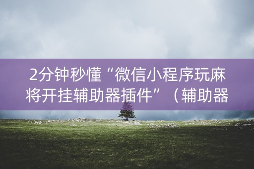 2分钟秒懂“微信小程序玩麻将开挂辅助器插件”（辅助器下载)
