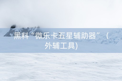 黑料“微乐卡五星辅助器”（外辅工具)