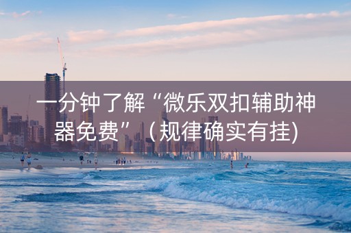 一分钟了解“微乐双扣辅助神器免费”（规律确实有挂)