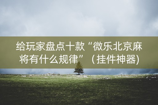给玩家盘点十款“微乐北京麻将有什么规律”（挂件神器)