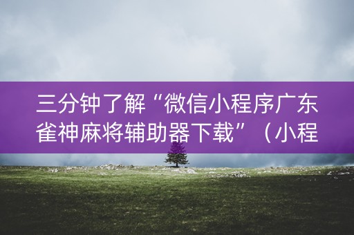 三分钟了解“微信小程序广东雀神麻将辅助器下载”（小程序怎么才会赢)