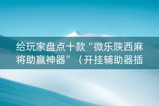 给玩家盘点十款“微乐陕西麻将助赢神器”（开挂辅助器插件)
