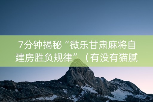 7分钟揭秘“微乐甘肃麻将自建房胜负规律”（有没有猫腻)