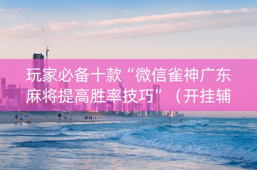 玩家必备十款“微信雀神广东麻将提高胜率技巧”（开挂辅助器脚本)