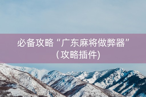 必备攻略“广东麻将做弊器”（攻略插件)