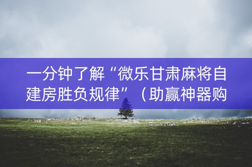 一分钟了解“微乐甘肃麻将自建房胜负规律”（助赢神器购买)