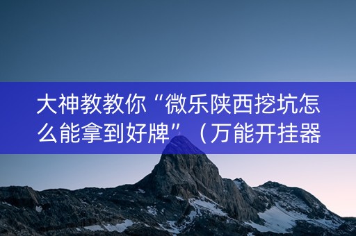 大神教教你“微乐陕西挖坑怎么能拿到好牌”（万能开挂器)