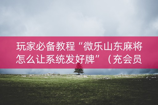 玩家必备教程“微乐山东麻将怎么让系统发好牌”（充会员胜率高)