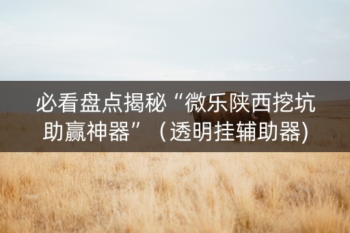 必看盘点揭秘“微乐陕西挖坑助赢神器”（透明挂辅助器)