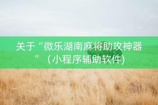 关于“微乐湖南麻将助攻神器”（小程序辅助软件)