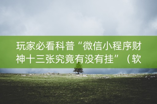 玩家必看科普“微信小程序财神十三张究竟有没有挂”（软挂神器)