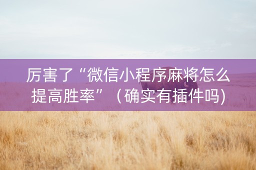 厉害了“微信小程序麻将怎么提高胜率”（确实有插件吗)