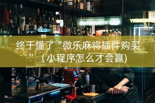 终于懂了“微乐麻将插件购买”（小程序怎么才会赢)