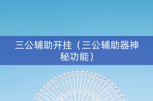 三公辅助开挂（三公辅助器神秘功能）