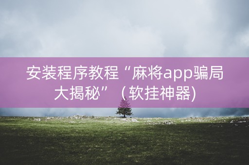 安装程序教程“麻将app骗局大揭秘”（软挂神器)