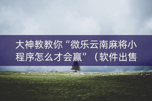 大神教教你“微乐云南麻将小程序怎么才会赢”（软件出售)