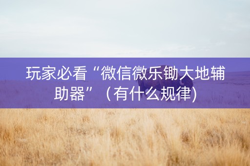 玩家必看“微信微乐锄大地辅助器”（有什么规律)
