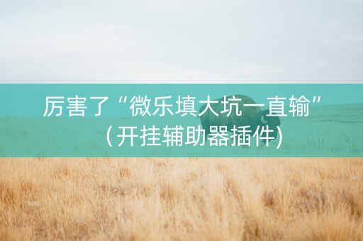 厉害了“微乐填大坑一直输”（开挂辅助器插件)