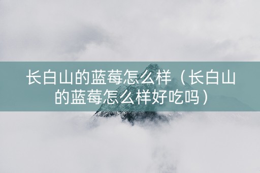 长白山的蓝莓怎么样（长白山的蓝莓怎么样好吃吗）