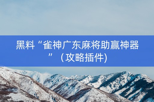 黑料“雀神广东麻将助赢神器”（攻略插件)