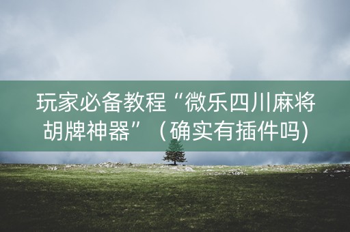 玩家必备教程“微乐四川麻将胡牌神器”（确实有插件吗)
