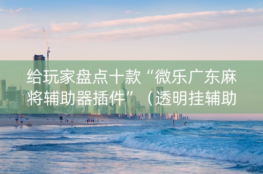 给玩家盘点十款“微乐广东麻将辅助器插件”（透明挂辅助器)