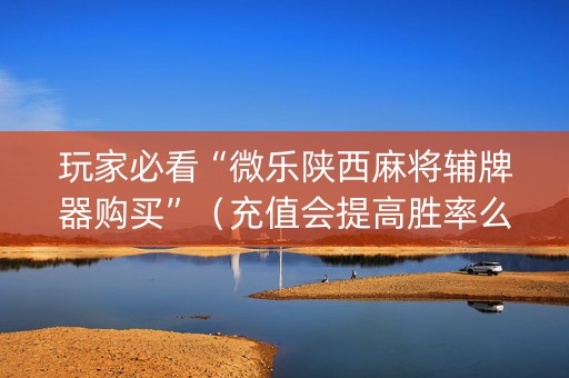 玩家必看“微乐陕西麻将辅牌器购买”（充值会提高胜率么)