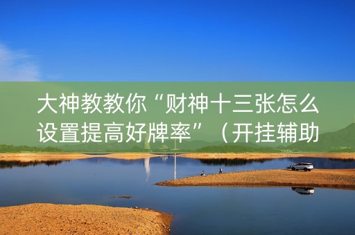大神教教你“财神十三张怎么设置提高好牌率”（开挂辅助器插件)
