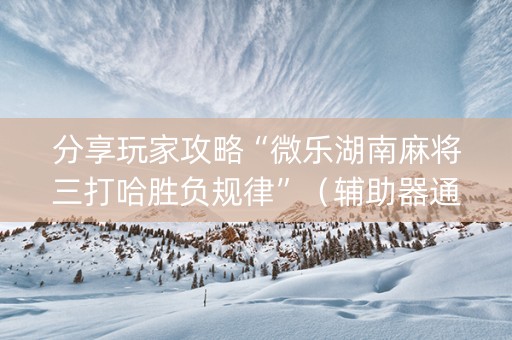 分享玩家攻略“微乐湖南麻将三打哈胜负规律”（辅助器通用版)