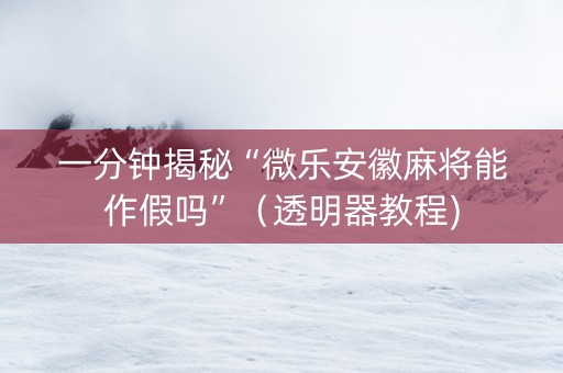 一分钟揭秘“微乐安徽麻将能作假吗”（透明器教程)