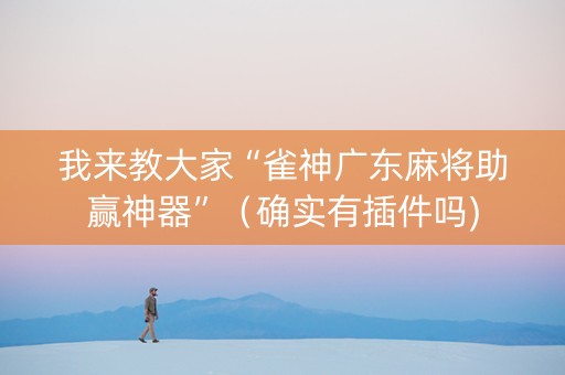 我来教大家“雀神广东麻将助赢神器”（确实有插件吗)