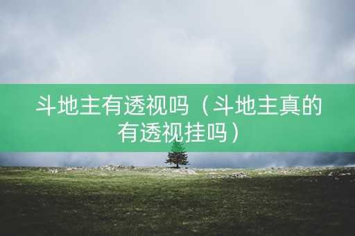 斗地主有透视吗（斗地主真的有透视挂吗）