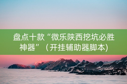 盘点十款“微乐陕西挖坑必胜神器”（开挂辅助器脚本)