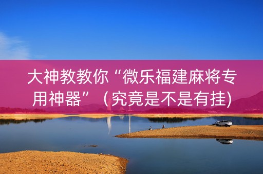大神教教你“微乐福建麻将专用神器”（究竟是不是有挂)