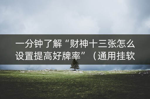 一分钟了解“财神十三张怎么设置提高好牌率”（通用挂软件多少钱)