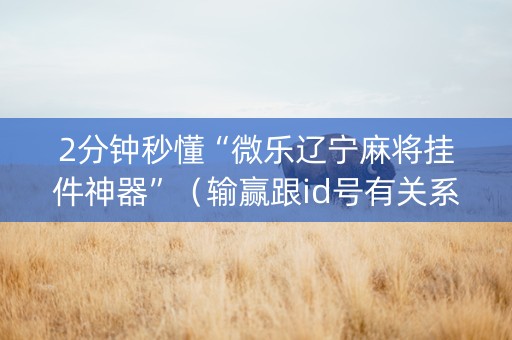 2分钟秒懂“微乐辽宁麻将挂件神器”（输赢跟id号有关系吗)