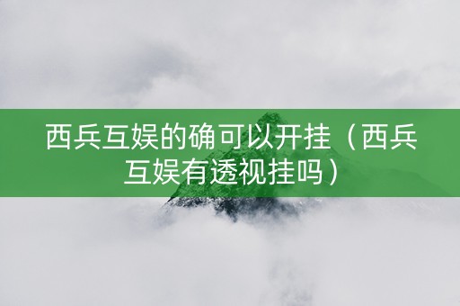 西兵互娱的确可以开挂（西兵互娱有透视挂吗）