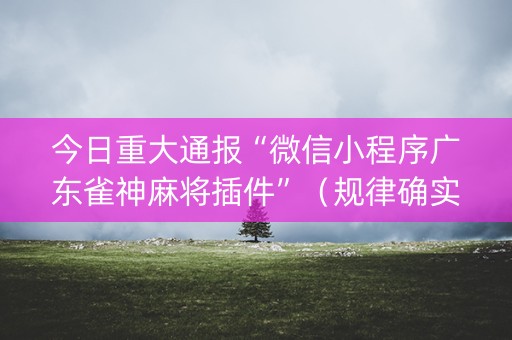 今日重大通报“微信小程序广东雀神麻将插件”（规律确实有挂)